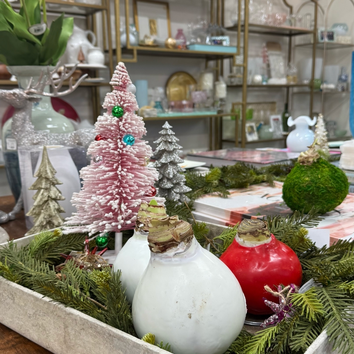 The Everyday Gardener